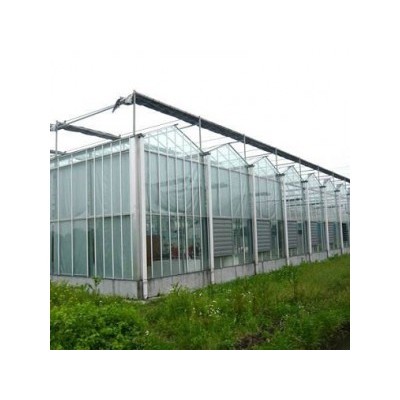 山东玻璃温室厂家 连栋玻璃温室报价 欢迎咨询