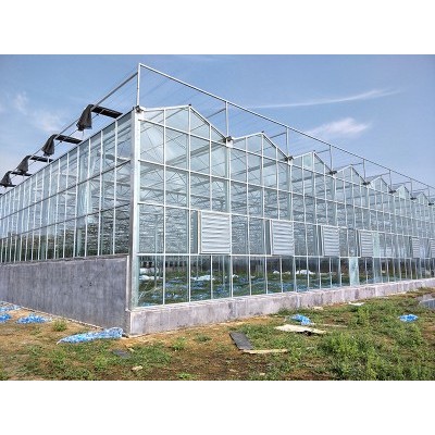 智能玻璃温室设计建设 智能玻璃温室建设厂家