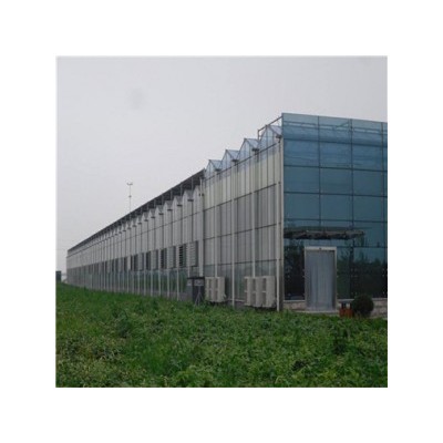 蔬菜玻璃温室 连栋玻璃温室建造 北方温室