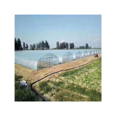 青州北方园艺 承建承接蔬菜育苗大棚 蔬菜育苗大棚搭建