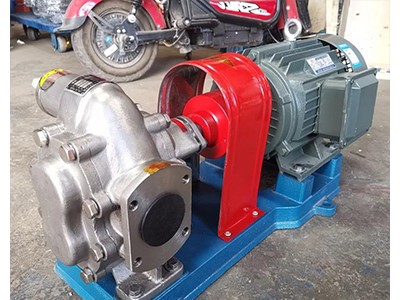 专注不锈钢齿轮泵生产不锈钢齿轮油泵