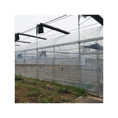 绿色玻璃温室-大棚建造厂家-温室大棚建设